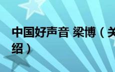 中国好声音 梁博（关于中国好声音 梁博的介绍）