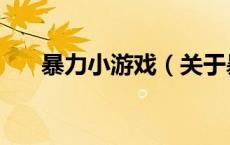 暴力小游戏（关于暴力小游戏的介绍）