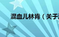 混血儿林肯（关于混血儿林肯的介绍）