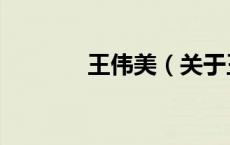 王伟美（关于王伟美的介绍）