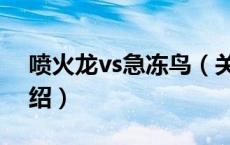 喷火龙vs急冻鸟（关于喷火龙vs急冻鸟的介绍）