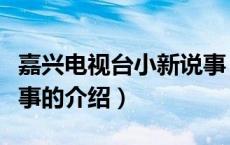 嘉兴电视台小新说事（关于嘉兴电视台小新说事的介绍）