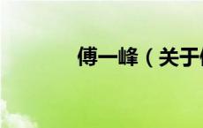 傅一峰（关于傅一峰的介绍）