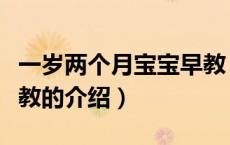 一岁两个月宝宝早教（关于一岁两个月宝宝早教的介绍）