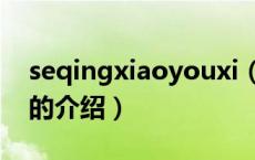 seqingxiaoyouxi（关于seqingxiaoyouxi的介绍）
