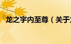 龙之宇内至尊（关于龙之宇内至尊的介绍）