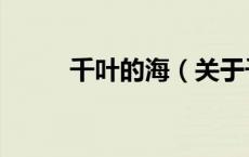 千叶的海（关于千叶的海的介绍）