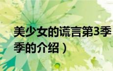 美少女的谎言第3季（关于美少女的谎言第3季的介绍）