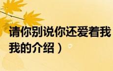 请你别说你还爱着我（关于请你别说你还爱着我的介绍）