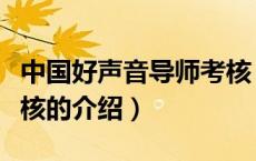 中国好声音导师考核（关于中国好声音导师考核的介绍）