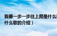 我要一步一步往上爬是什么歌（关于我要一步一步往上爬是什么歌的介绍）
