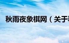 秋雨夜象棋网（关于秋雨夜象棋网的介绍）