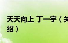 天天向上 丁一宇（关于天天向上 丁一宇的介绍）