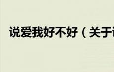 说爱我好不好（关于说爱我好不好的介绍）