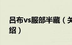 吕布vs服部半藏（关于吕布vs服部半藏的介绍）