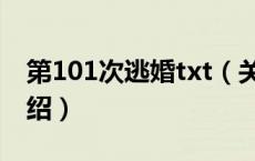 第101次逃婚txt（关于第101次逃婚txt的介绍）