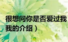 很想问你是否爱过我（关于很想问你是否爱过我的介绍）