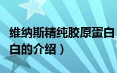 维纳斯精纯胶原蛋白（关于维纳斯精纯胶原蛋白的介绍）
