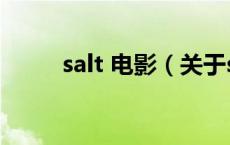 salt 电影（关于salt 电影的介绍）