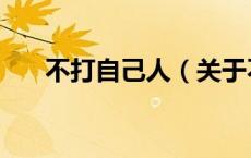 不打自己人（关于不打自己人的介绍）