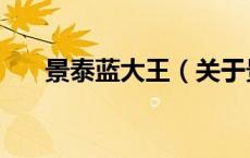 景泰蓝大王（关于景泰蓝大王的介绍）