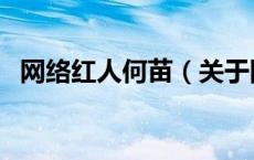 网络红人何苗（关于网络红人何苗的介绍）