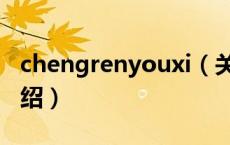 chengrenyouxi（关于chengrenyouxi的介绍）