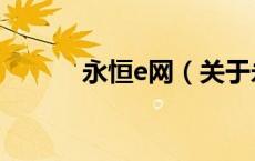 永恒e网（关于永恒e网的介绍）