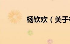 杨钦欢（关于杨钦欢的介绍）