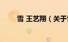 雪 王艺翔（关于雪 王艺翔的介绍）