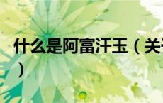 什么是阿富汗玉（关于什么是阿富汗玉的介绍）