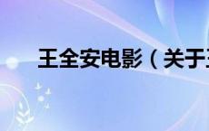王全安电影（关于王全安电影的介绍）