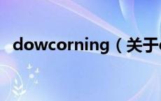 dowcorning（关于dowcorning的介绍）