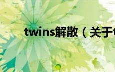 twins解散（关于twins解散的介绍）