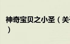 神奇宝贝之小圣（关于神奇宝贝之小圣的介绍）
