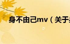 身不由己mv（关于身不由己mv的介绍）