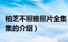 柏芝不照雅照片全集（关于柏芝不照雅照片全集的介绍）