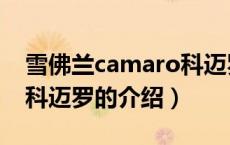 雪佛兰camaro科迈罗（关于雪佛兰camaro科迈罗的介绍）