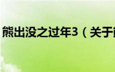 熊出没之过年3（关于熊出没之过年3的介绍）