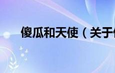 傻瓜和天使（关于傻瓜和天使的介绍）