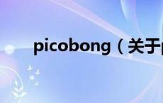 picobong（关于picobong的介绍）