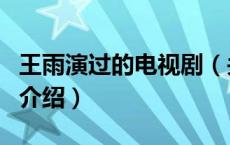 王雨演过的电视剧（关于王雨演过的电视剧的介绍）