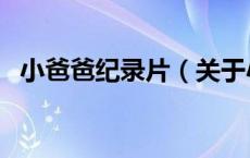 小爸爸纪录片（关于小爸爸纪录片的介绍）