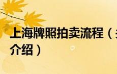 上海牌照拍卖流程（关于上海牌照拍卖流程的介绍）