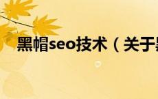黑帽seo技术（关于黑帽seo技术的介绍）