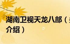 湖南卫视天龙八部（关于湖南卫视天龙八部的介绍）