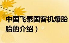 中国飞泰国客机爆胎（关于中国飞泰国客机爆胎的介绍）