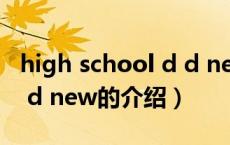 high school d d new（关于high school d d new的介绍）