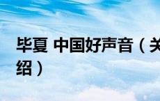 毕夏 中国好声音（关于毕夏 中国好声音的介绍）