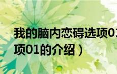 我的脑内恋碍选项01（关于我的脑内恋碍选项01的介绍）